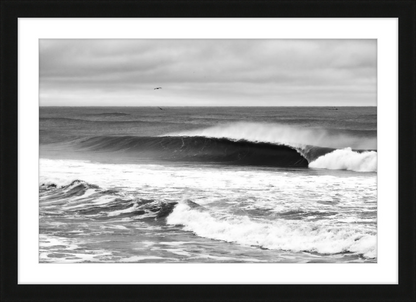 Mind Surfing Madness