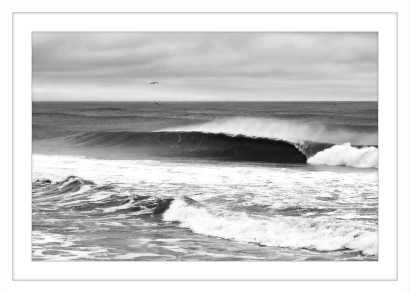 Mind Surfing Madness