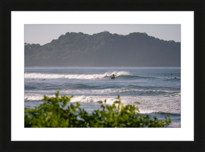 Tropical Euphoria