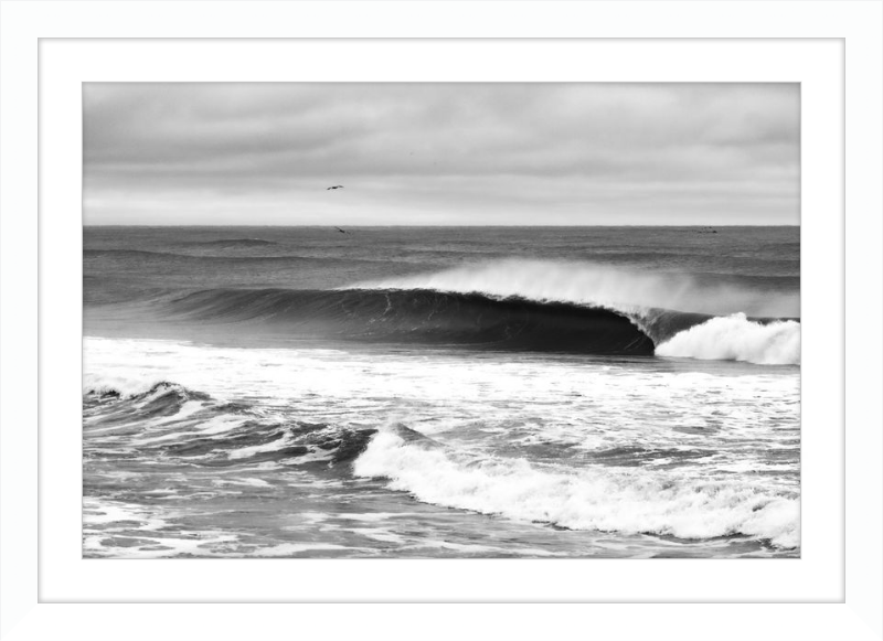 Mind Surfing Madness