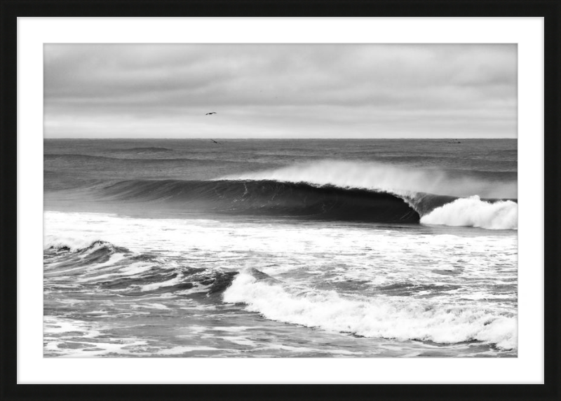 Mind Surfing Madness