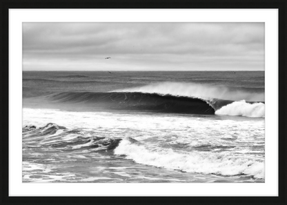 Mind Surfing Madness