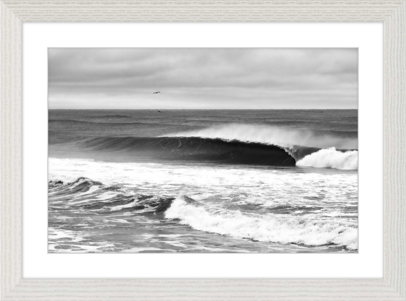 Mind Surfing Madness