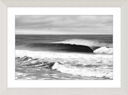 Mind Surfing Madness