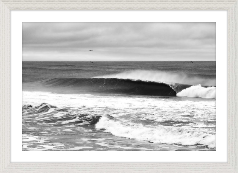 Mind Surfing Madness