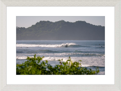 Tropical Euphoria
