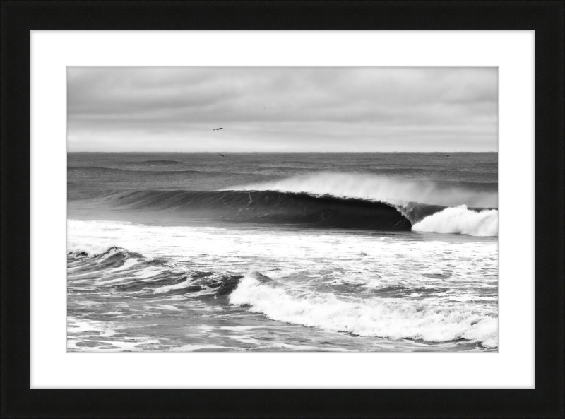 Mind Surfing Madness