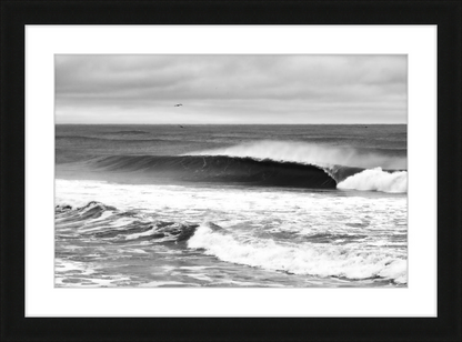 Mind Surfing Madness