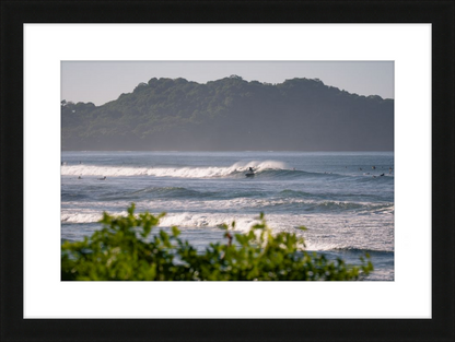 Tropical Euphoria
