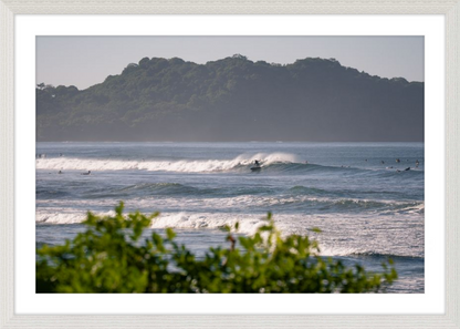Tropical Euphoria