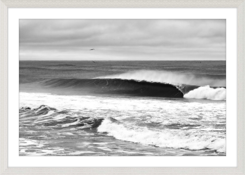 Mind Surfing Madness