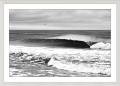 Mind Surfing Madness