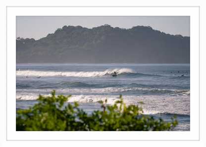 Tropical Euphoria