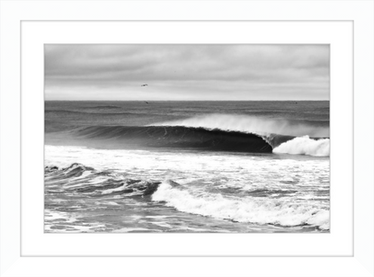 Mind Surfing Madness