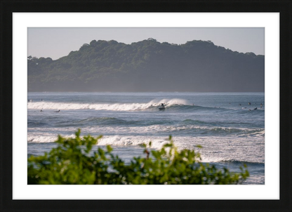 Tropical Euphoria