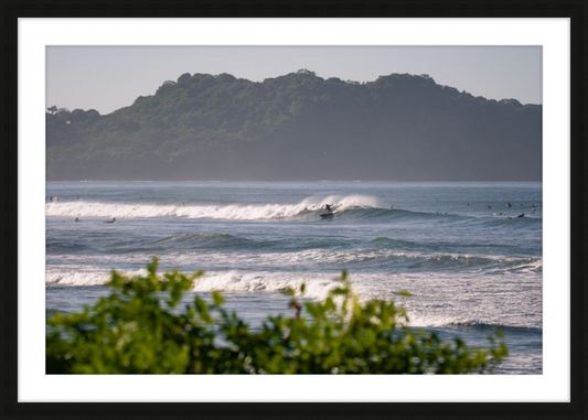 Tropical Euphoria